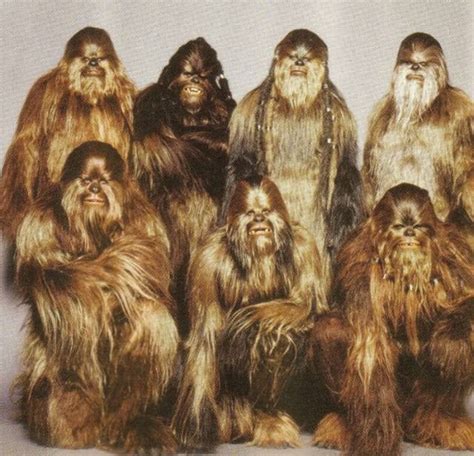 woakies|wie alt werden wookies.